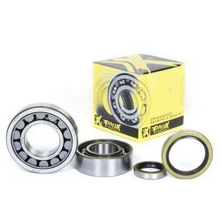 Crankshaft Bearing kit Prox 450/520/525 00-07